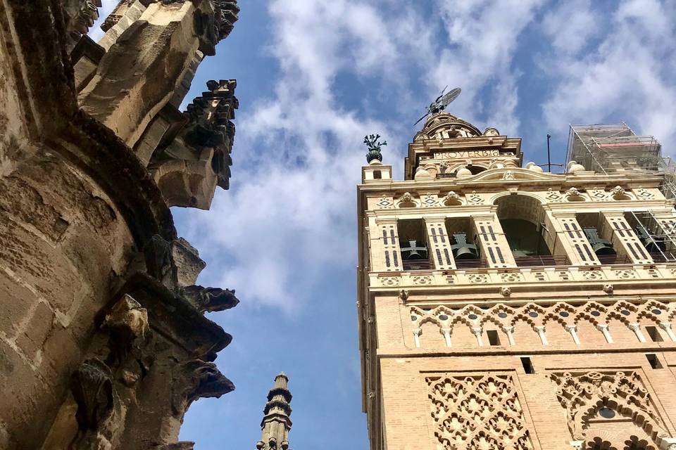 Seville Catherdral