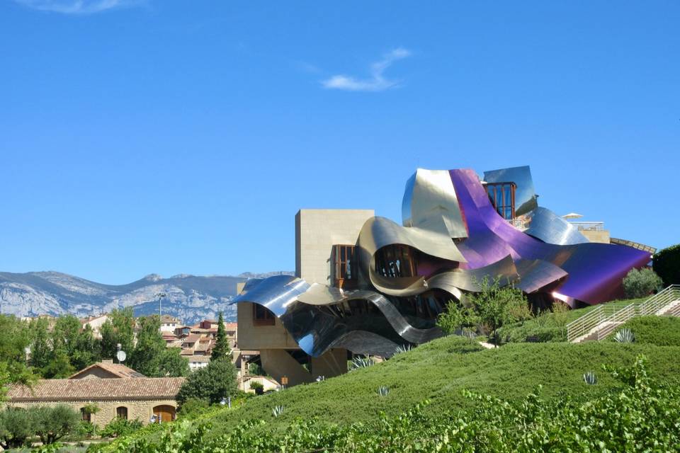 Rioja Wine Region, Spain