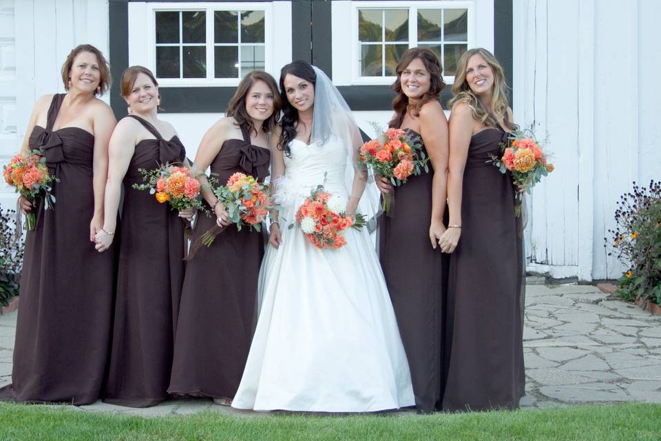 Renee Aleisa Photography