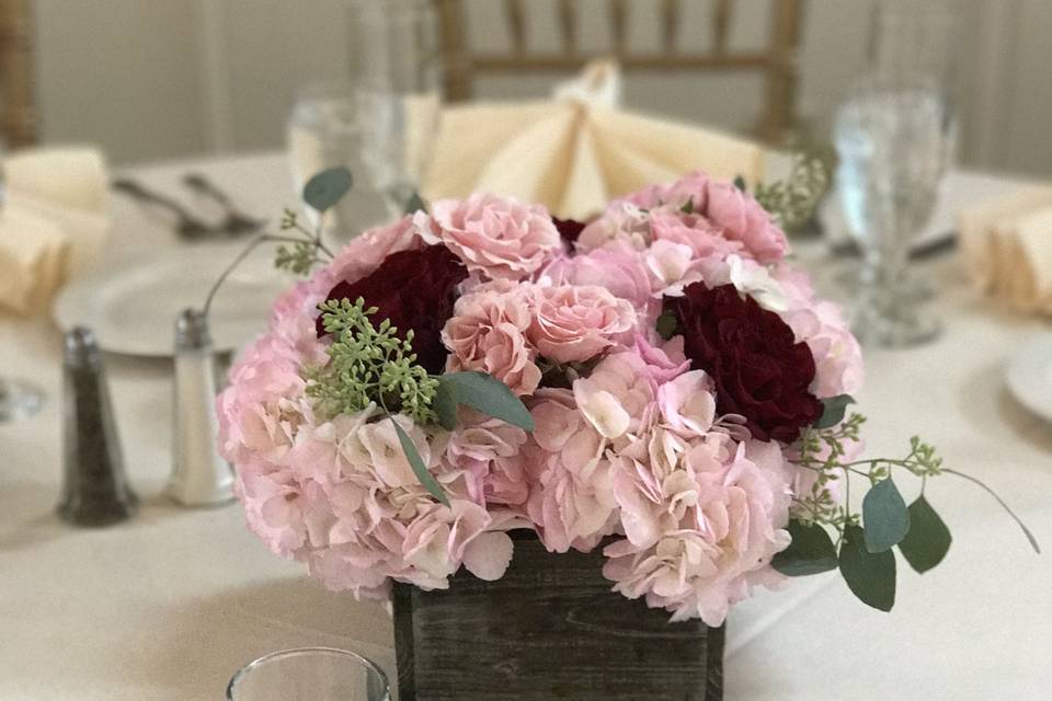 Pink and red roses