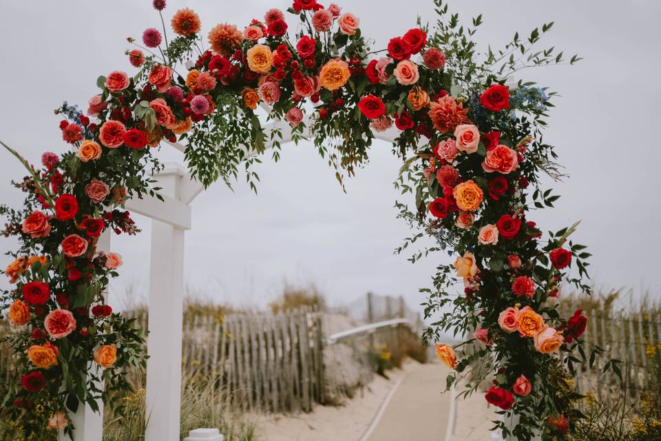 All the flowers