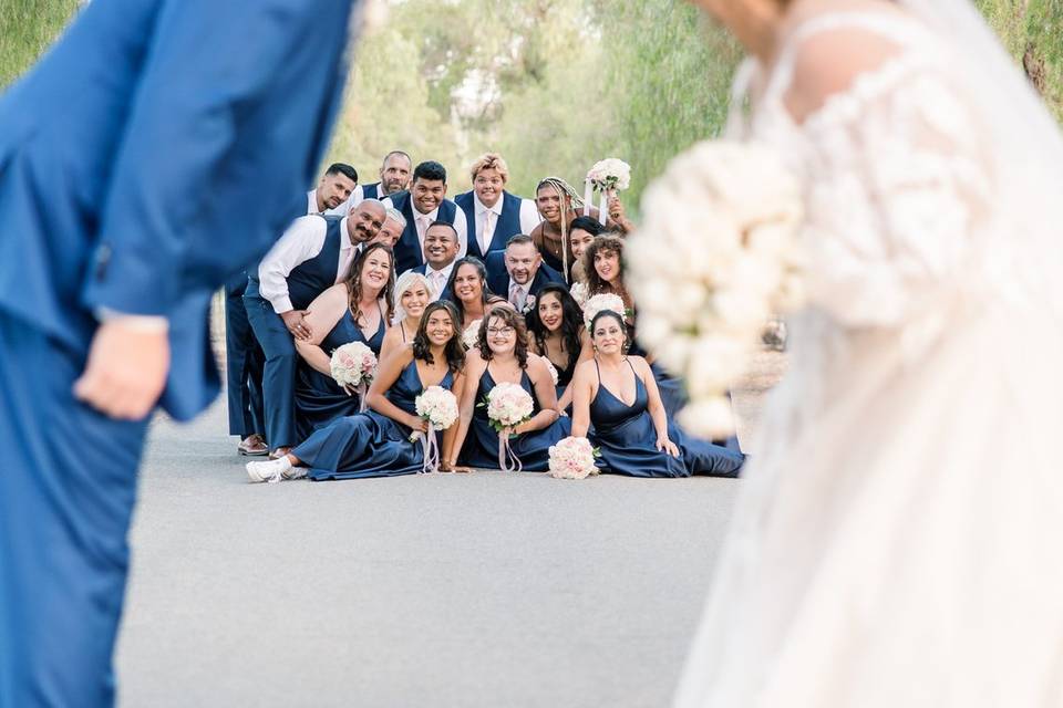 Large Bridal Party