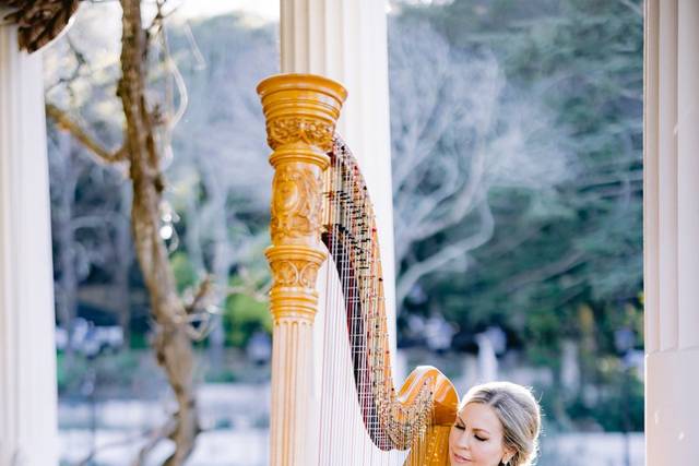 Villa Montalvo: Photo Tyler Vu
