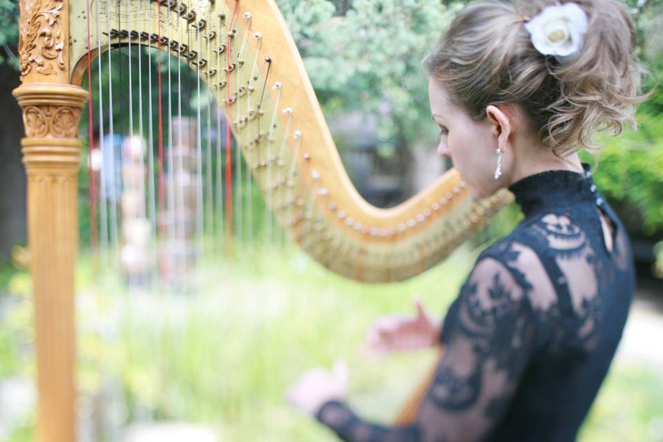 Playing the harp