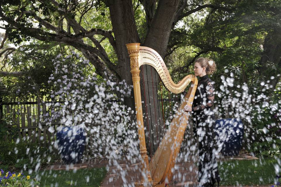 Harpist Krista Strader