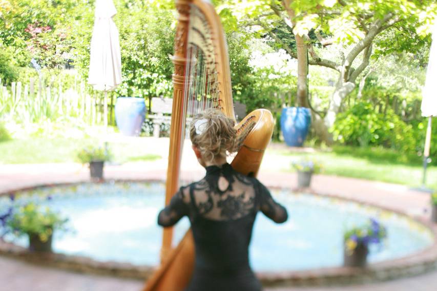 Engravings on the harp