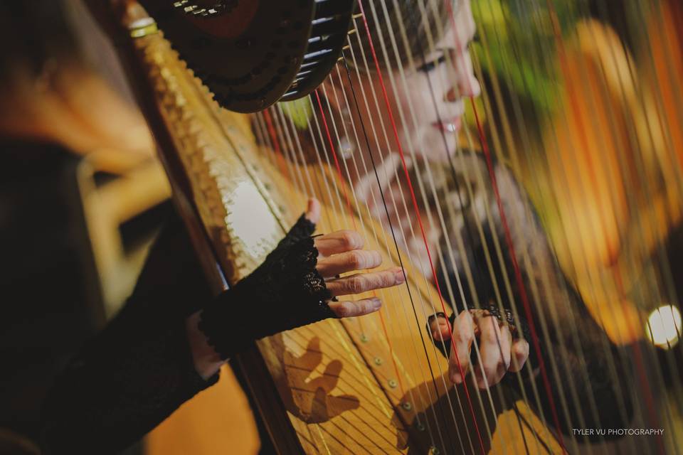 Harpist Krista Strader