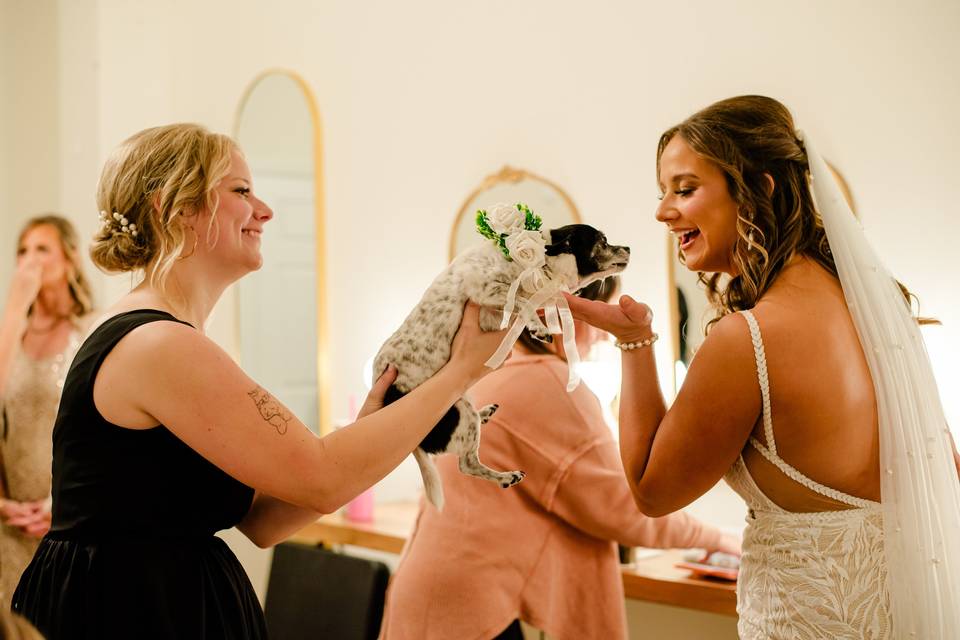 Wedding