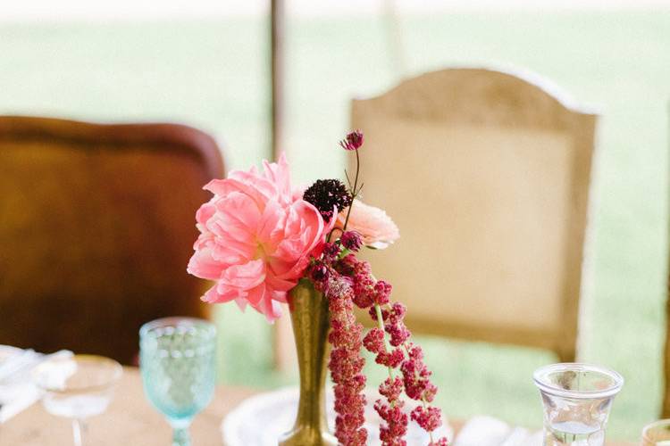 Aelish Lascoe Photography & Florals