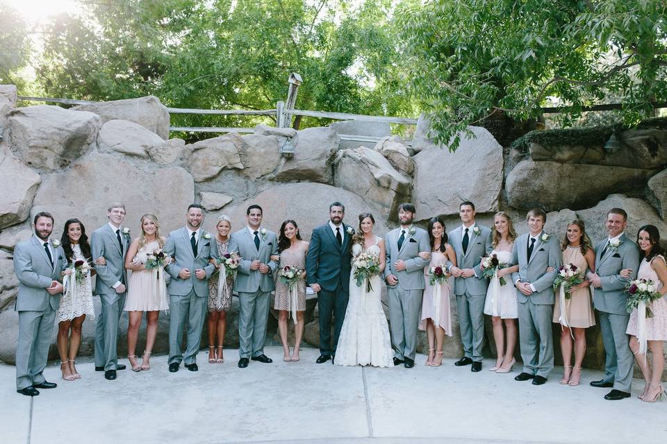 The couple with the bridesmaids and groomsmen