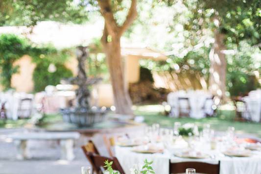 Table setup with flower centerpiece