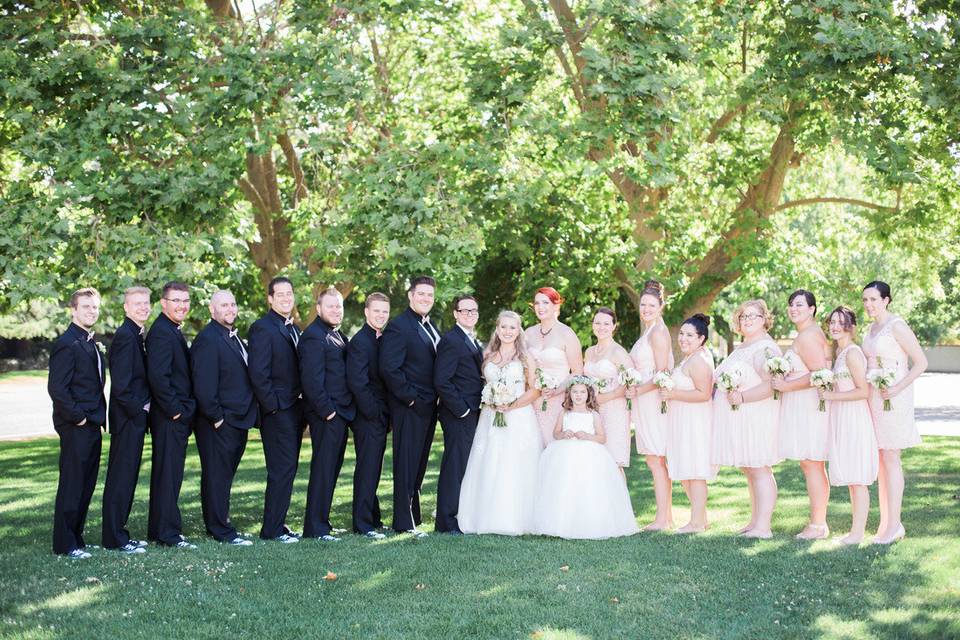 The couple with the bridesmaids and groomsmen