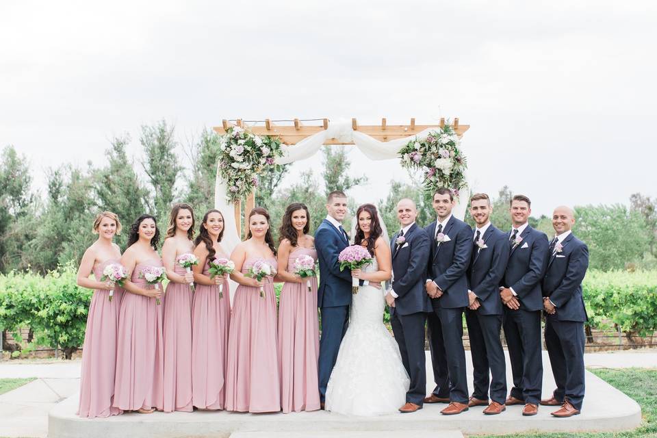 The couple with the bridesmaids and groomsmen