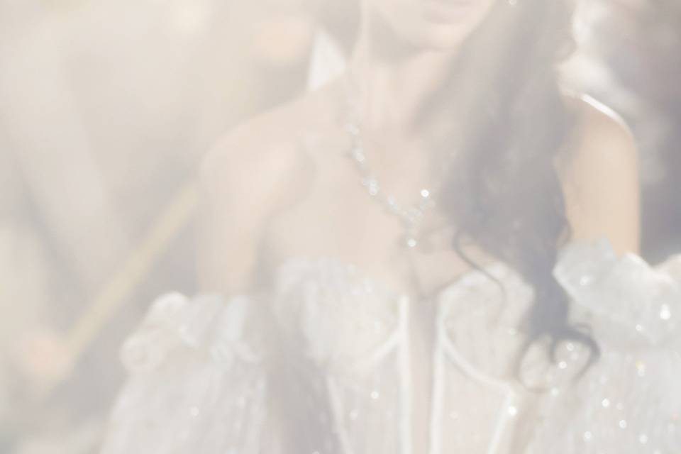 Bridal Portrait