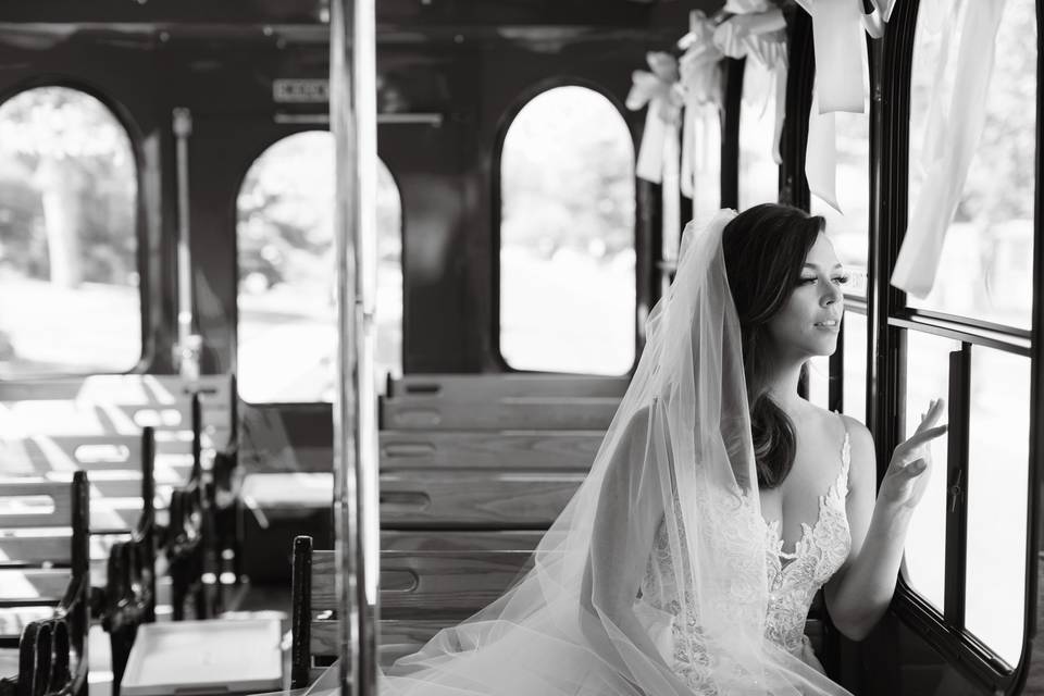Bridal Portrait