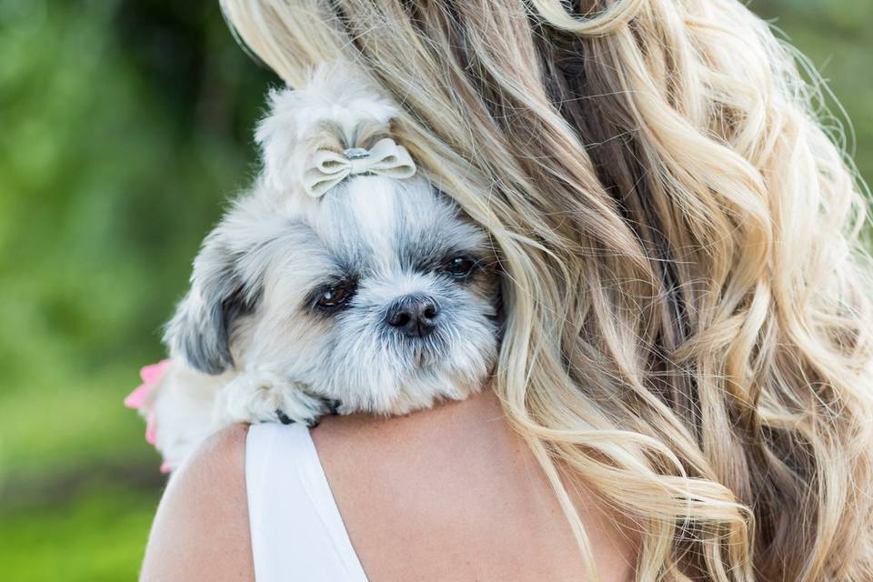 Love dogs at weddings!