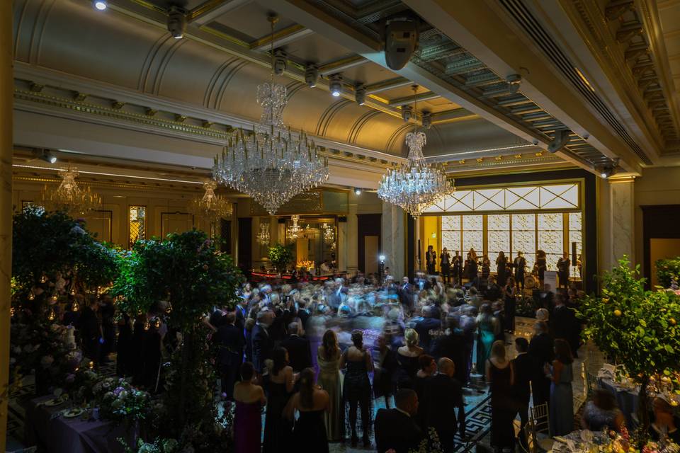 Wedding Reception