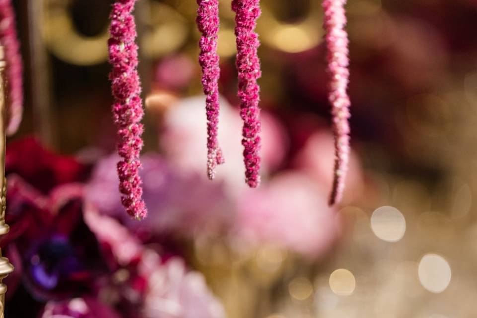 Reception Details