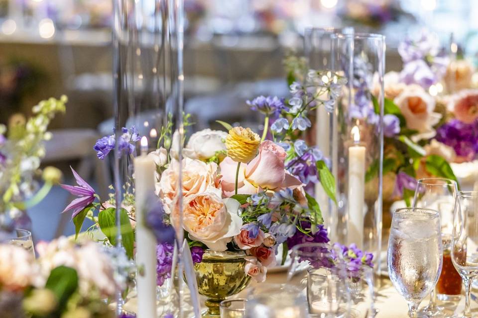 Wedding Reception