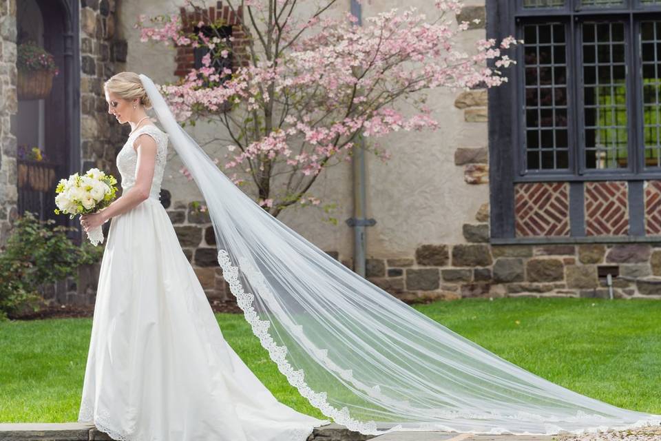 Cathedral veil