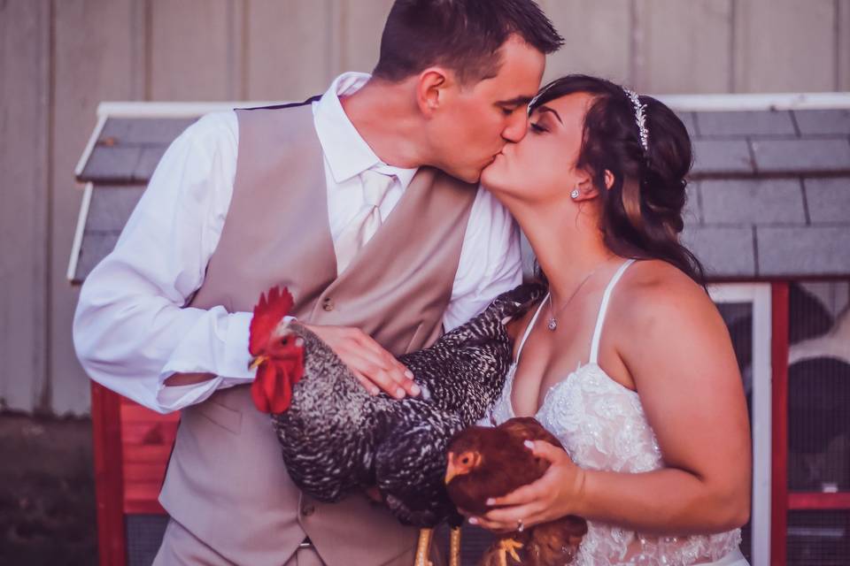 Kissing with chickens
