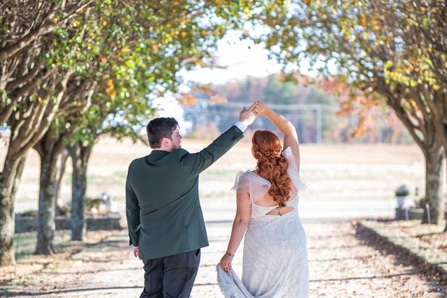 Tree line in the fall