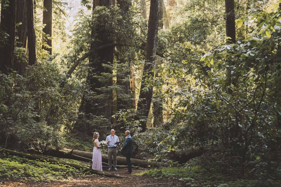 Henry Cowell Elopement