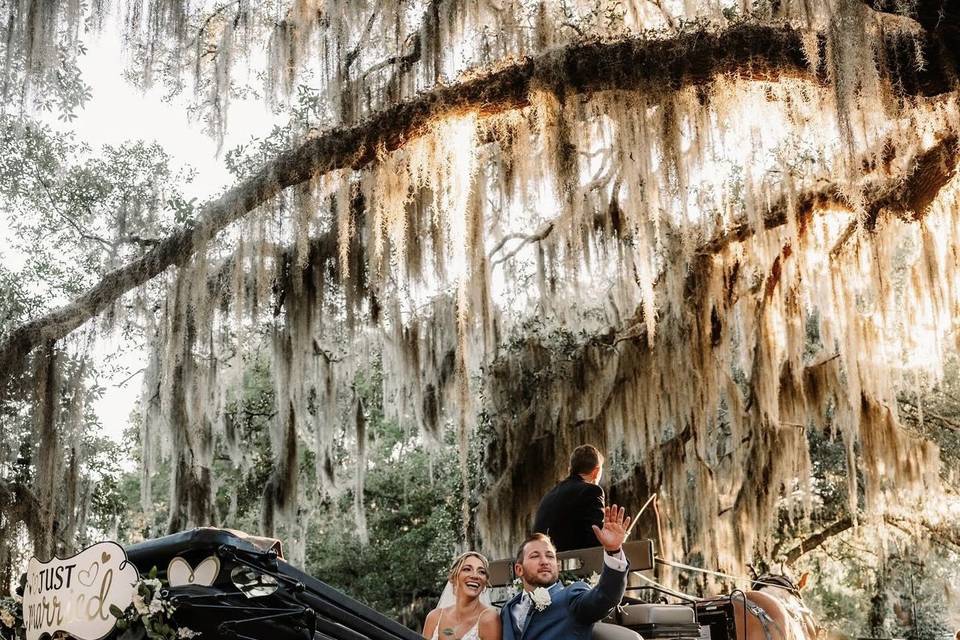Wedding photo