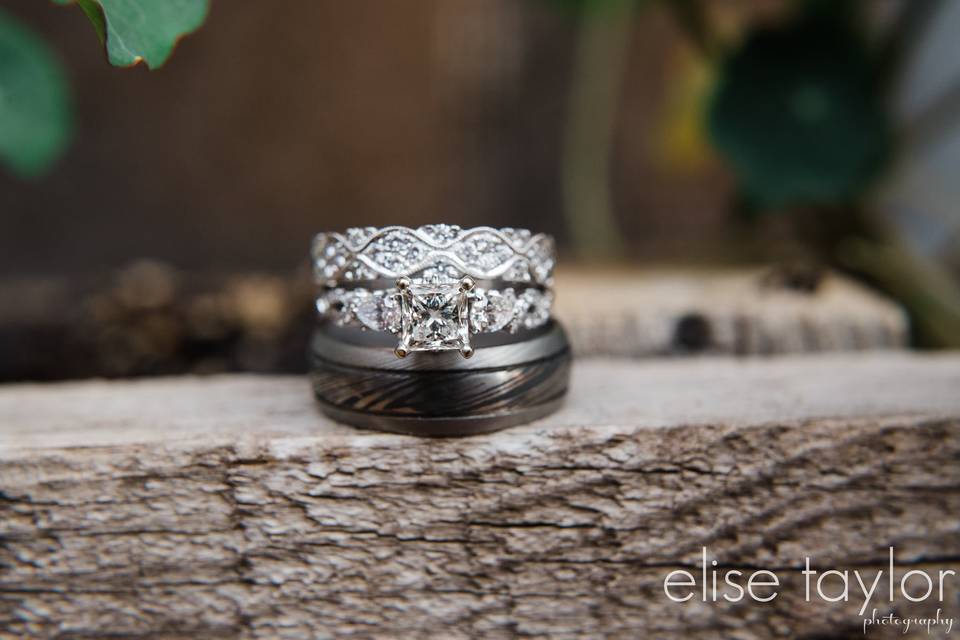 Elise Taylor Photography