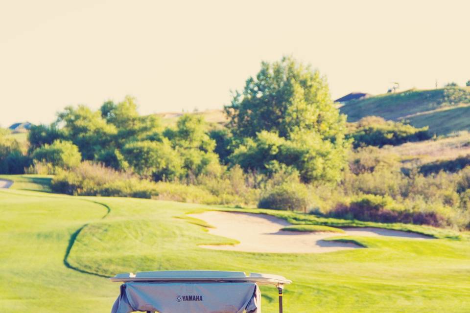 Golf cart