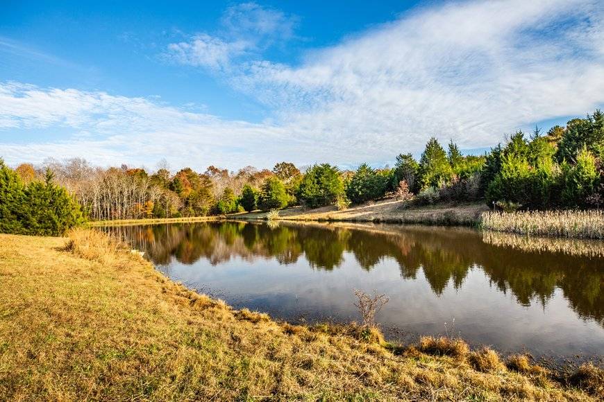 The Pond in Fall