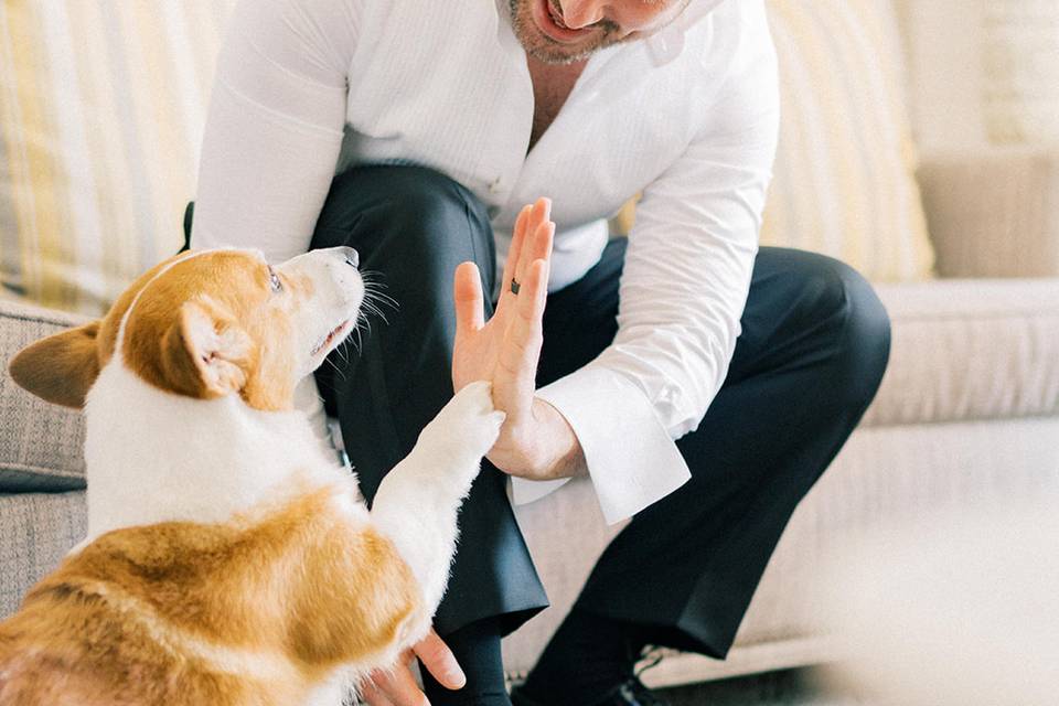 HIGH FIVE WITH PET