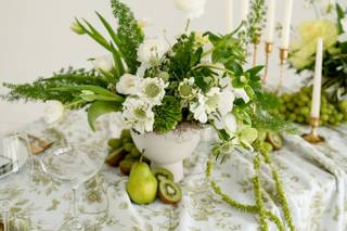 Eliza Jane Events