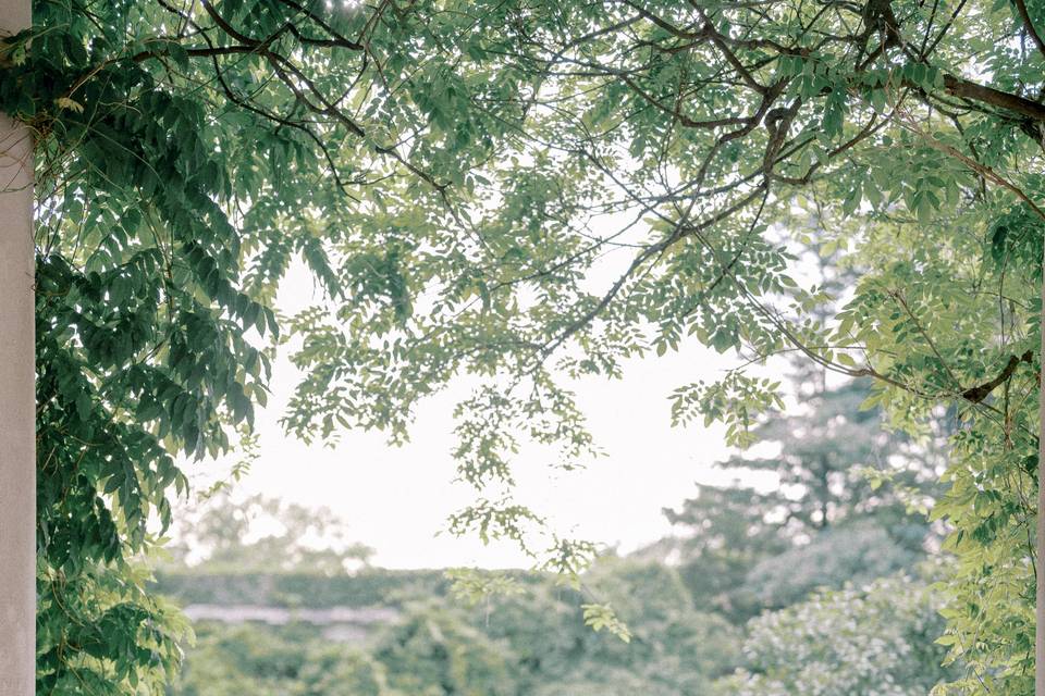 Bride in Garden
