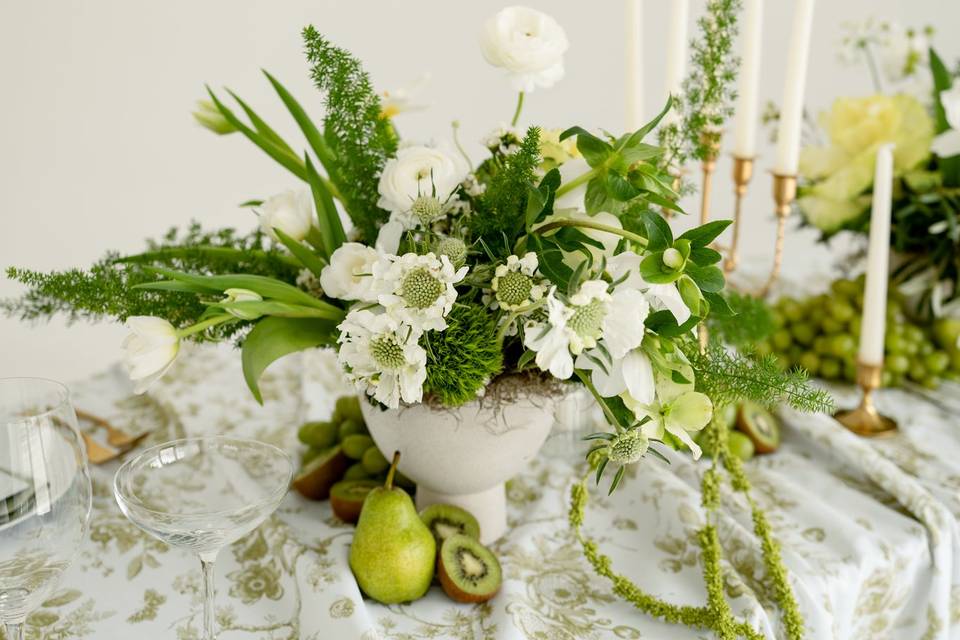 Eliza Jane Events
