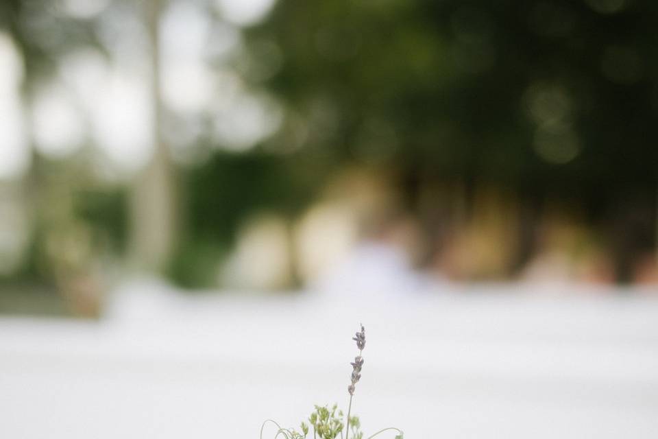 The Greenery