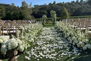 Draping Wedding
