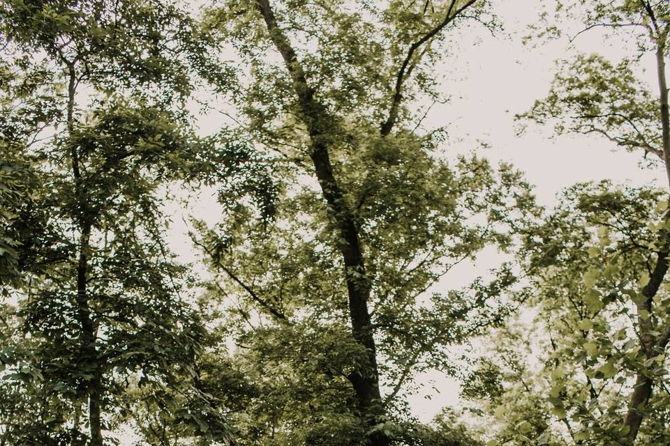 Hira Mashkoor Photography