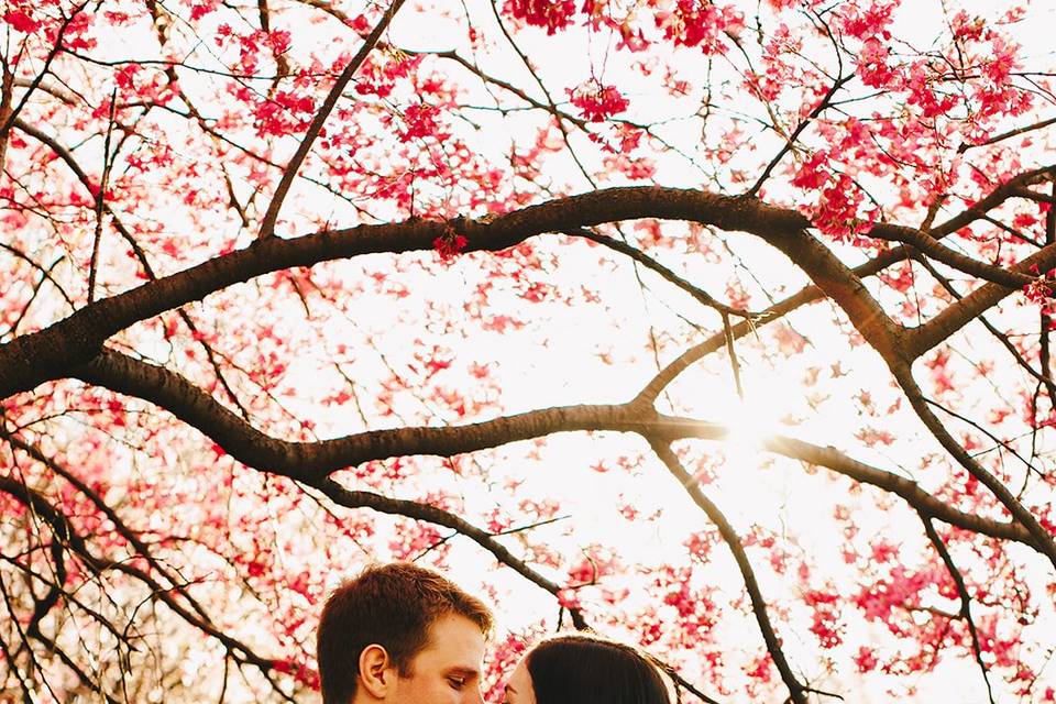 Hira Mashkoor Photography