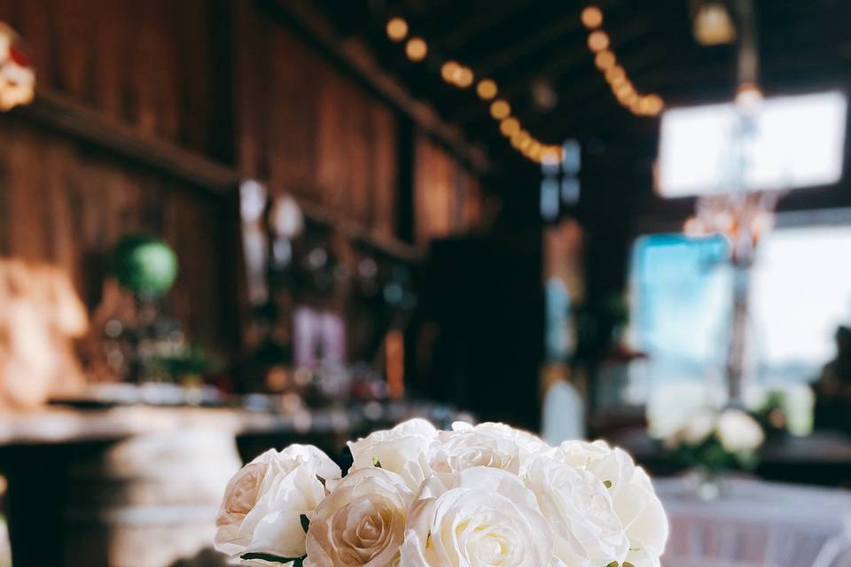 Simple White Roses