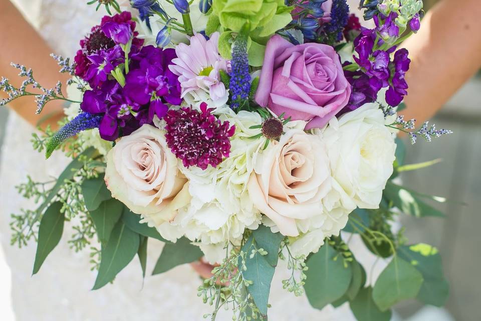 Purples
