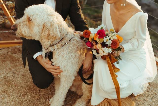 Bridal Bouquet  Native Poppy Shop