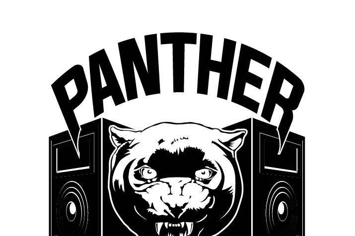 Panther Pro Audio - Sound and Lights