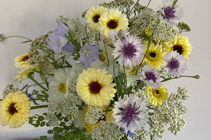 June CT-grown wedding flowers