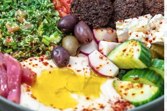 Falafel Platter