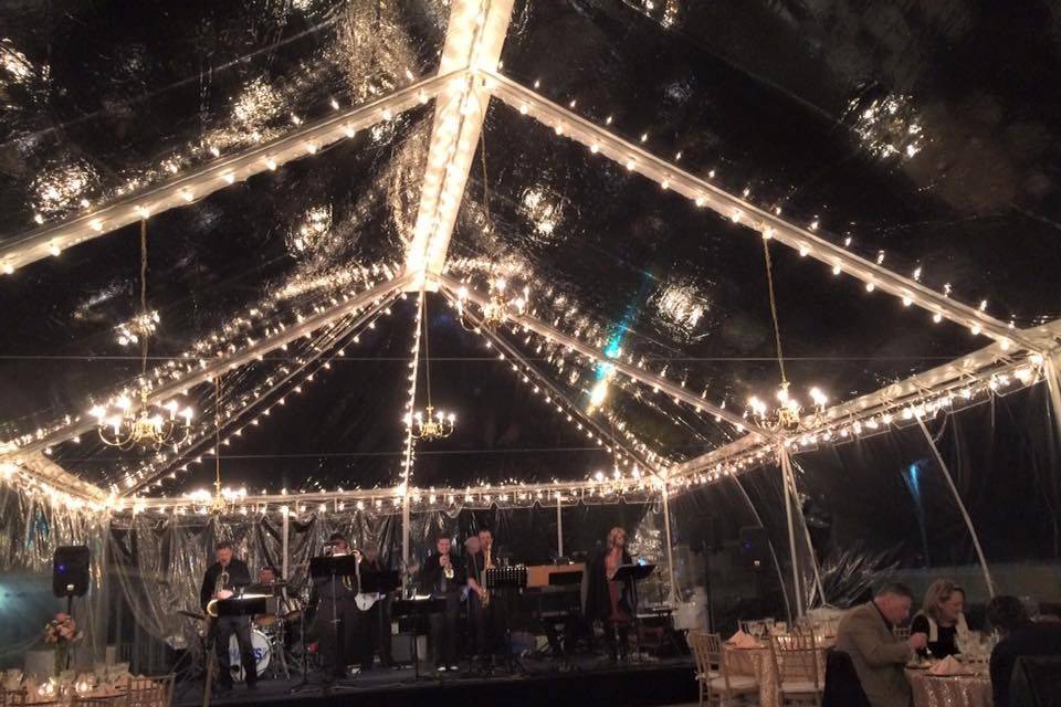 The Lights and the tent really shine!