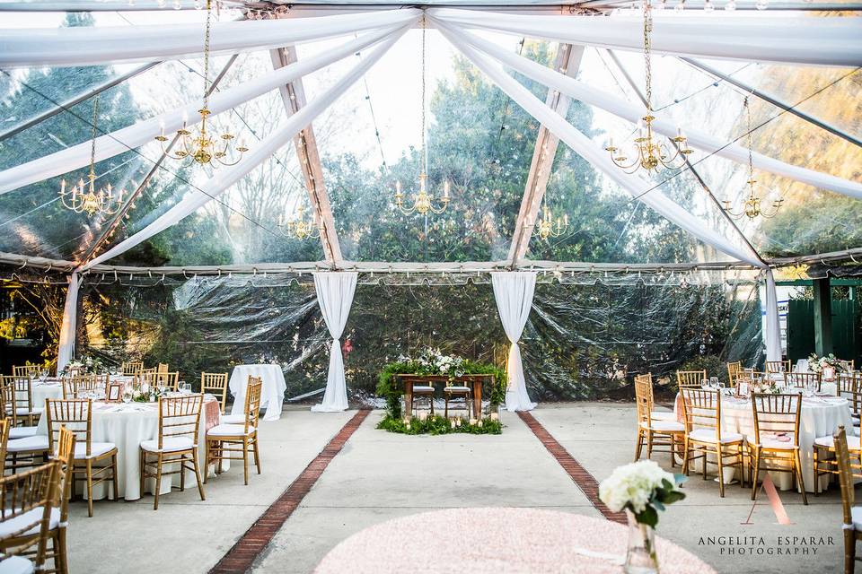 Clear-view Tent sets the stage for the joyous occasion!