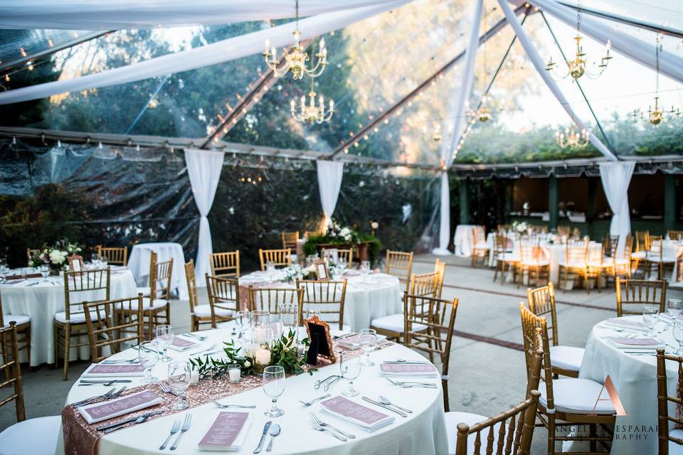 Lee House Wedding in the courtyard!  Gold chairs and gold chandeliers really shine.