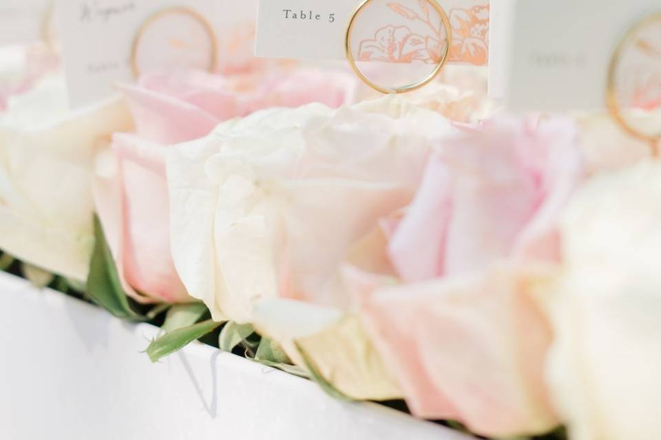 Guest placecards