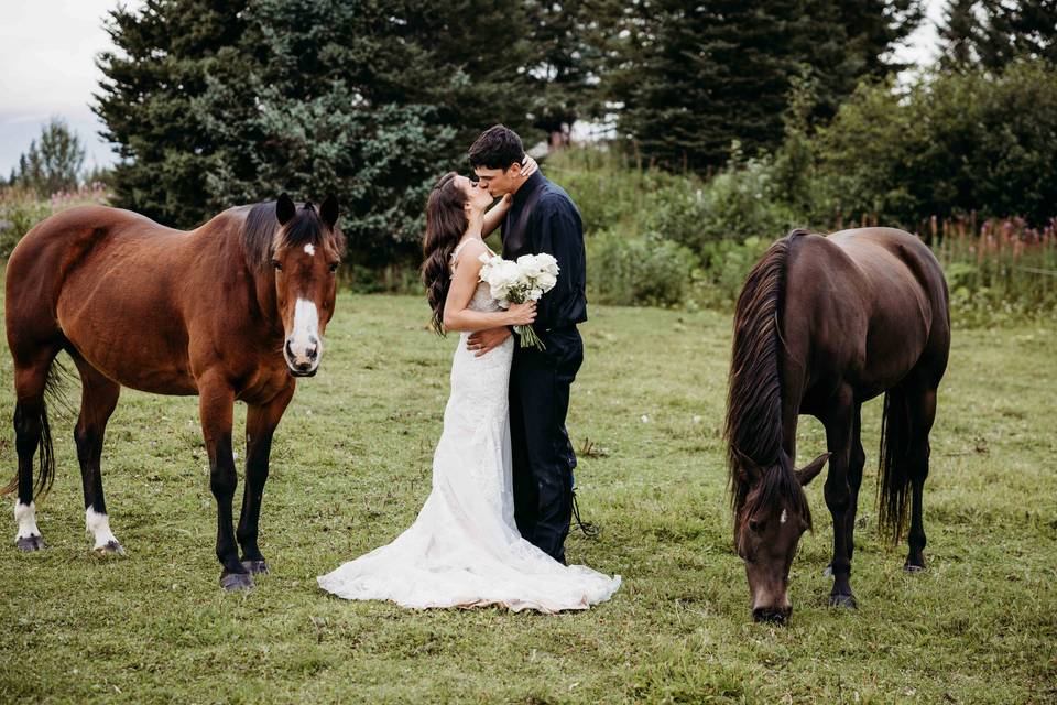 Married on the Ranch
